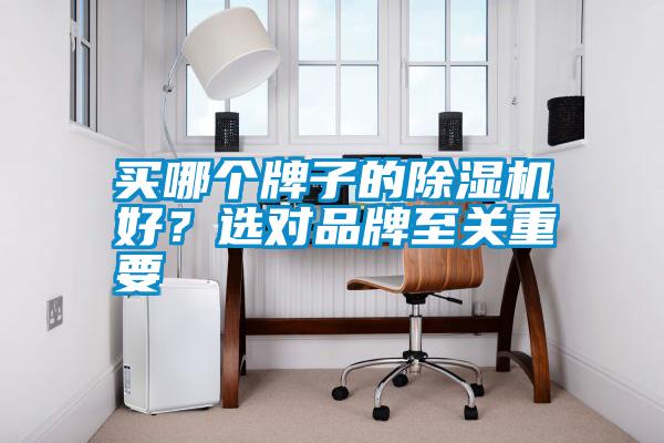 買(mǎi)哪個(gè)牌子的除濕機(jī)好?選對(duì)品牌至關(guān)重要