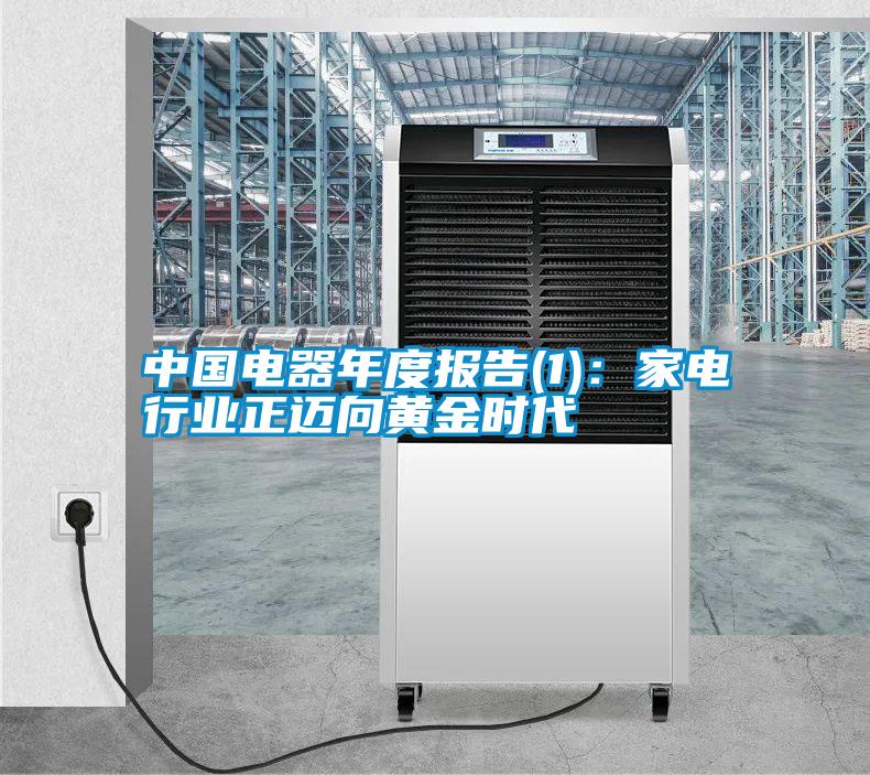 中國電器年度報告(1):家電行業正邁向黃金時代