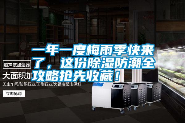 一年一度梅雨季快來了，這份除濕防潮全攻略搶先收藏！