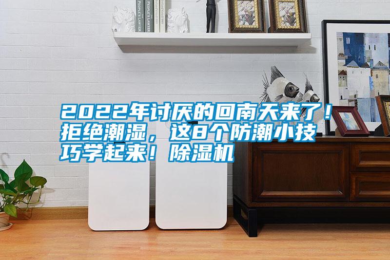2022年討厭的回南天來了！拒絕潮濕，這8個防潮小技巧學起來！除濕機