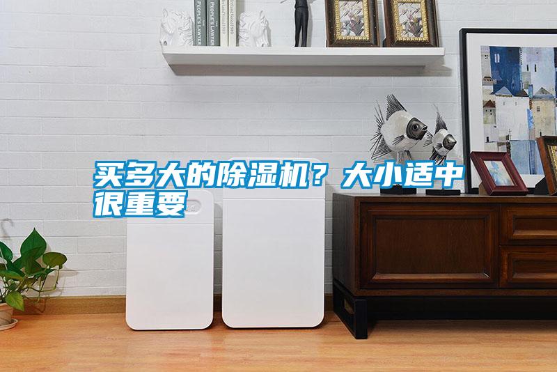 買多大的除濕機?大小適中很重要