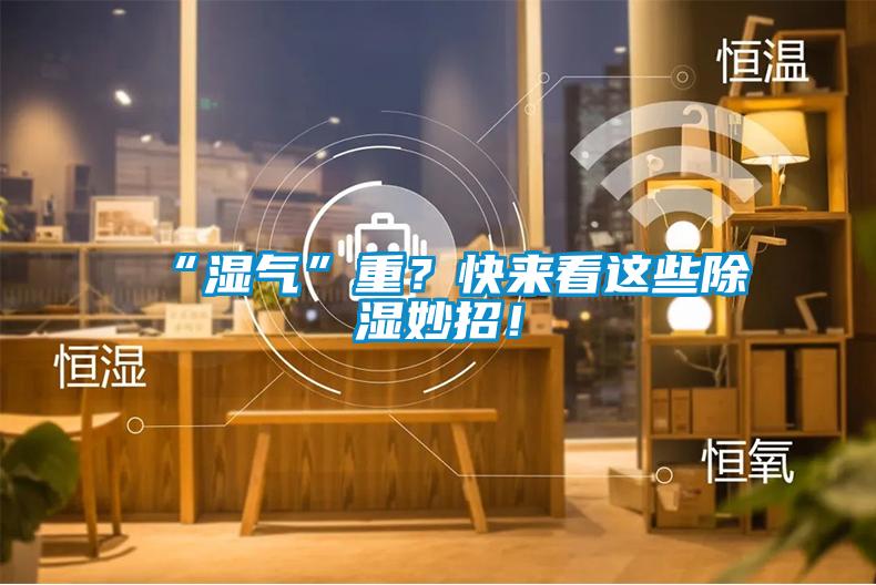 “濕氣”重？快來(lái)看這些除濕妙招！