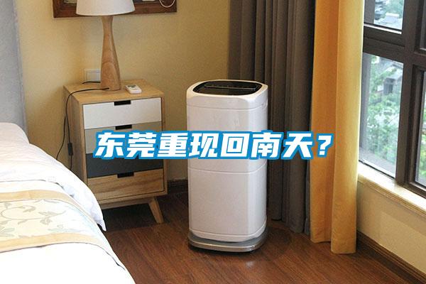 東莞重現(xiàn)回南天?