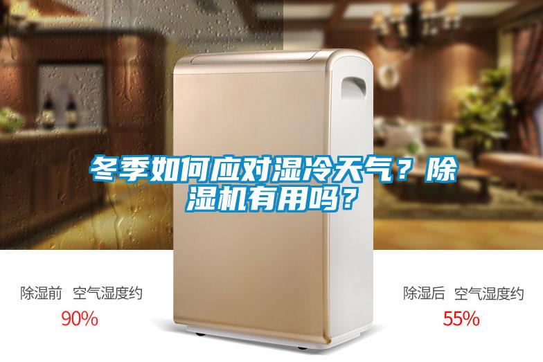 冬季如何應對濕冷天氣？除濕機有用嗎？