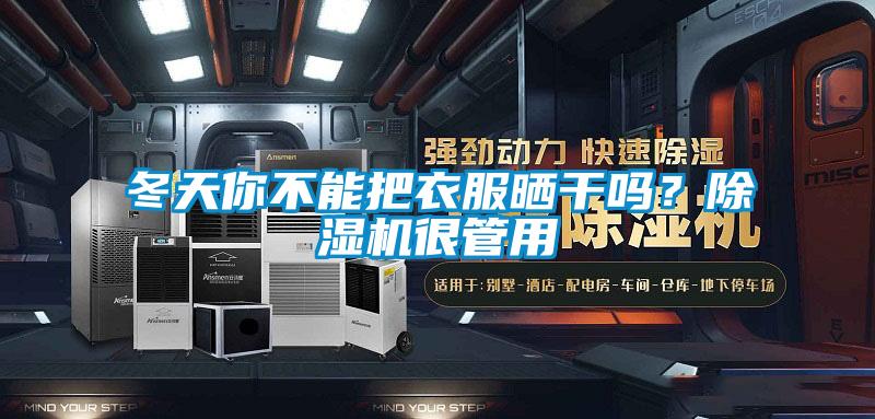 冬天你不能把衣服曬干嗎？除濕機很管用