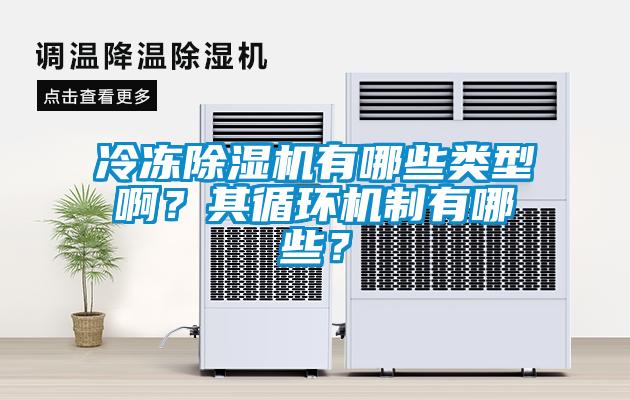 冷凍除濕機有哪些類型??？其循環機制有哪些？