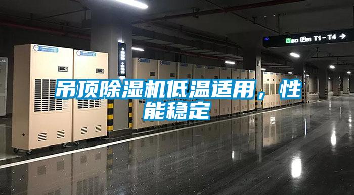 吊頂除濕機(jī)低溫適用，性能穩(wěn)定
