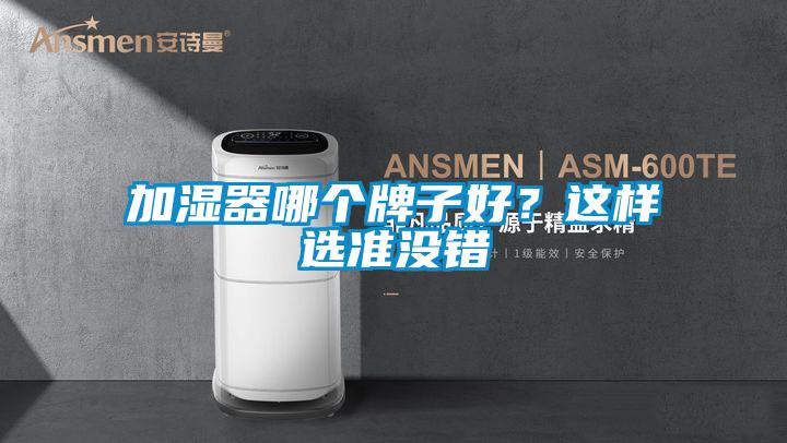 加濕器哪個牌子好？這樣選準沒錯