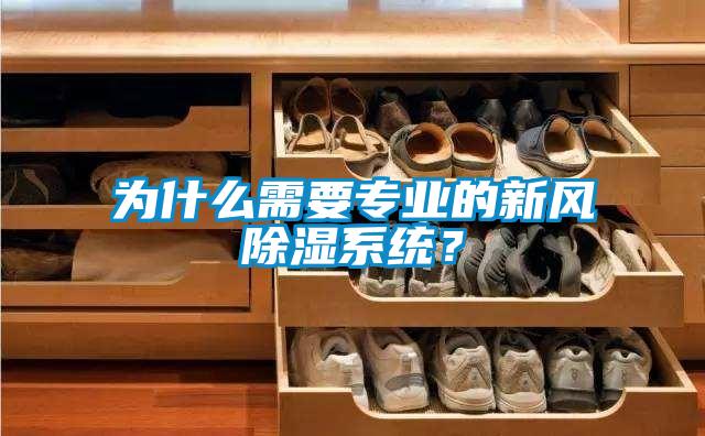 為什么需要專業的新風除濕系統?