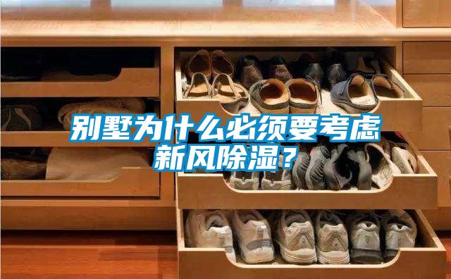 別墅為什么必須要考慮新風除濕？