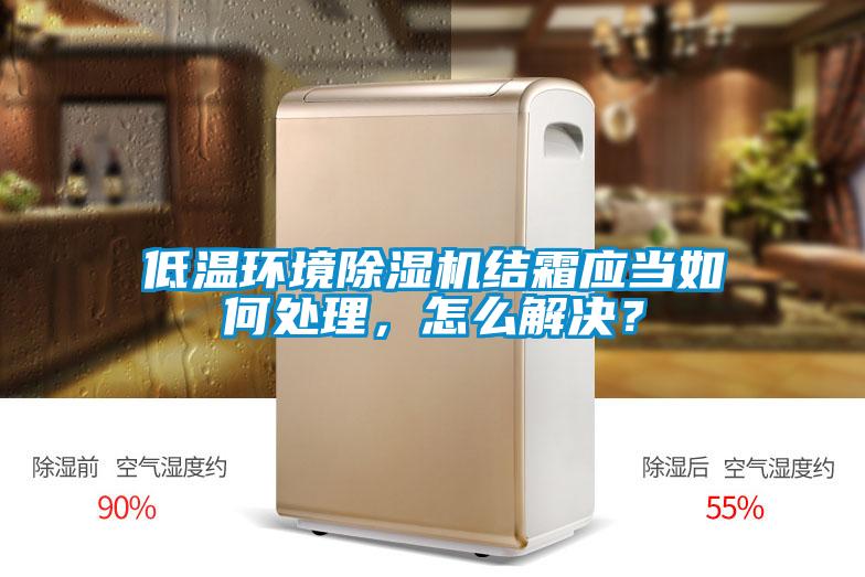 低溫環(huán)境除濕機結(jié)霜應(yīng)當(dāng)如何處理，怎么解決？