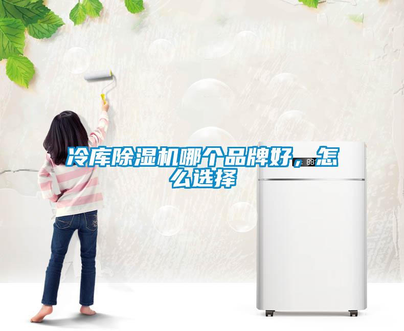 冷庫除濕機哪個品牌好,怎么選擇