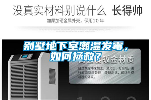 別墅地下室潮濕發(fā)霉，如何拯救？
