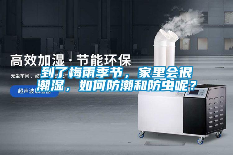 到了梅雨季節，家里會很潮濕，如何防潮和防蟲呢？