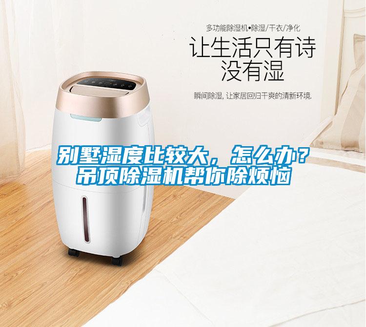別墅濕度比較大，怎么辦？吊頂除濕機幫你除煩惱