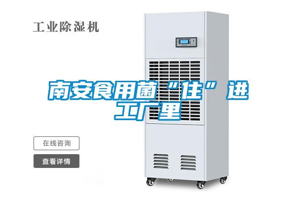 南安食用菌“住”進(jìn)工廠(chǎng)里