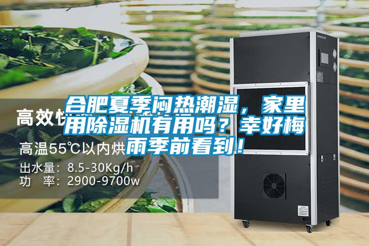 合肥夏季悶熱潮濕,家里用除濕機(jī)有用嗎?幸好梅雨季前看到!