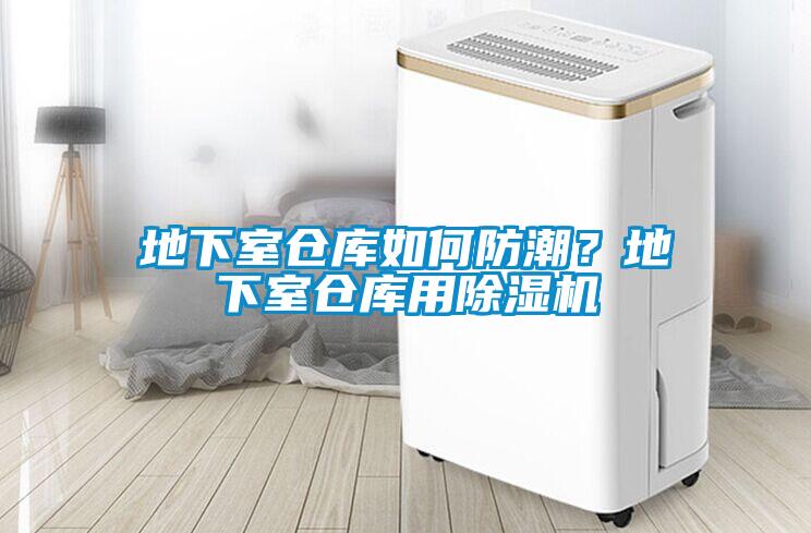 地下室倉(cāng)庫(kù)如何防潮?地下室倉(cāng)庫(kù)用除濕機(jī)