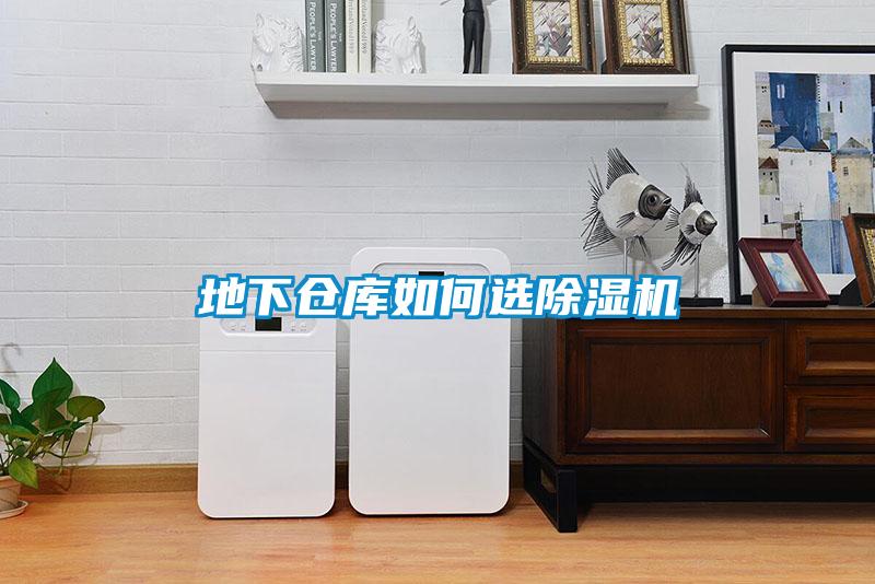 地下倉庫如何選除濕機