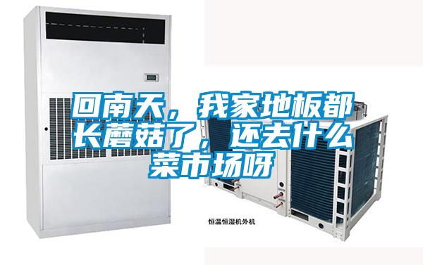 回南天,我家地板都長蘑菇了,還去什么菜市場呀