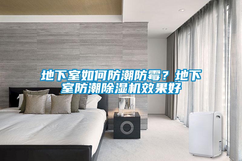 地下室如何防潮防霉？地下室防潮除濕機效果好