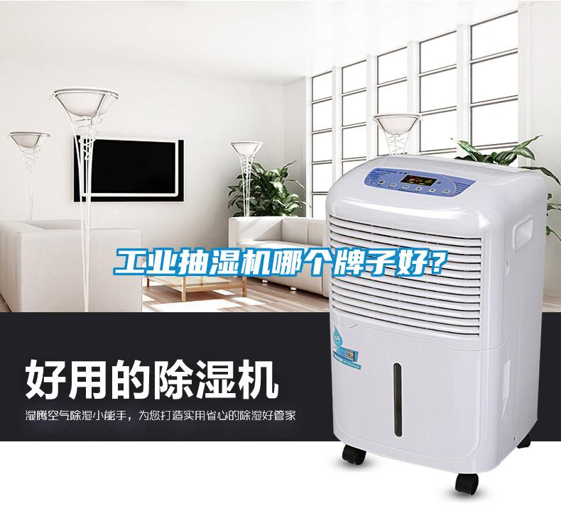 工業抽濕機哪個牌子好？