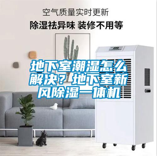 地下室潮濕怎么解決?地下室新風(fēng)除濕一體機(jī)
