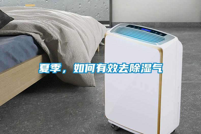 夏季,如何有效去除濕氣