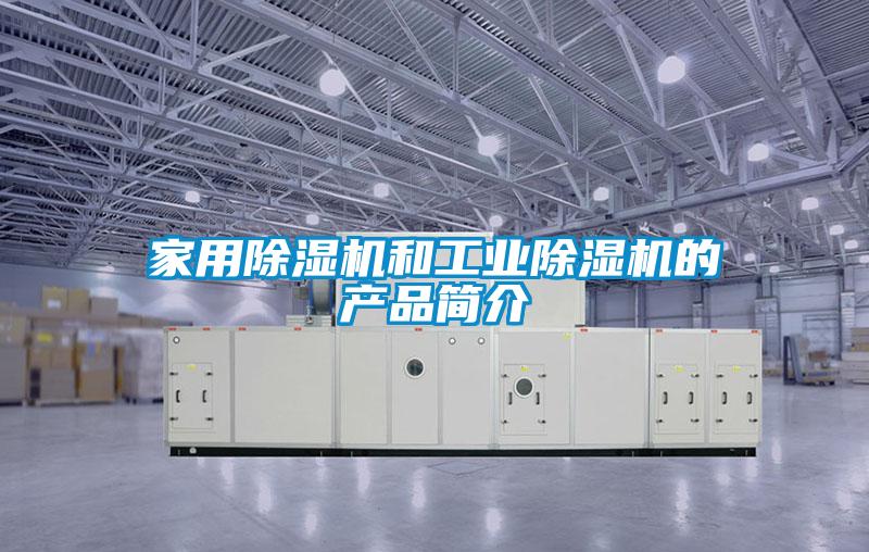 家用除濕機和工業(yè)除濕機的產品簡介