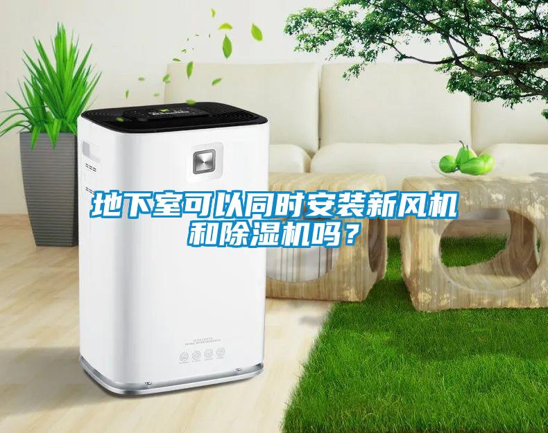 地下室可以同時(shí)安裝新風(fēng)機(jī)和除濕機(jī)嗎?