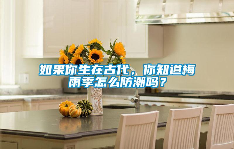 如果你生在古代,你知道梅雨季怎么防潮嗎?