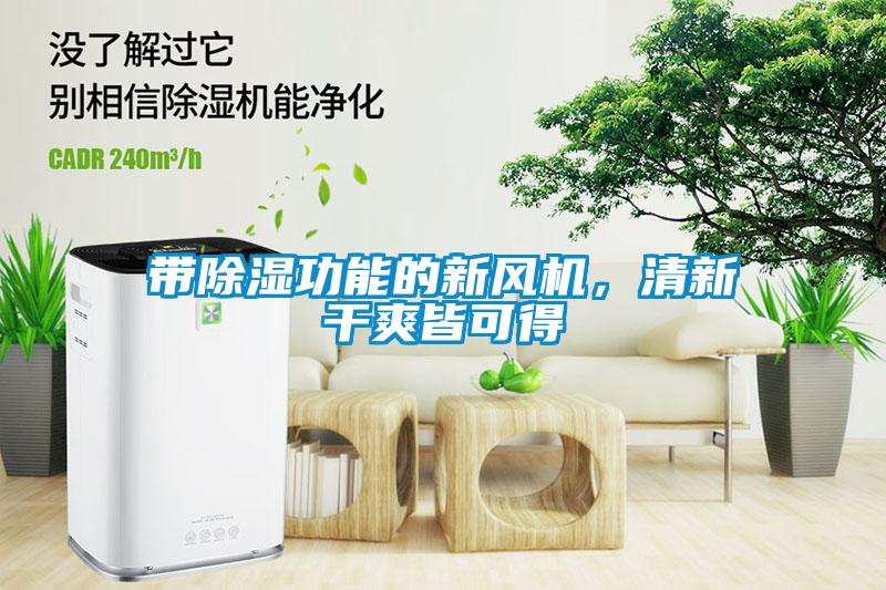 帶除濕功能的新風機,清新干爽皆可得