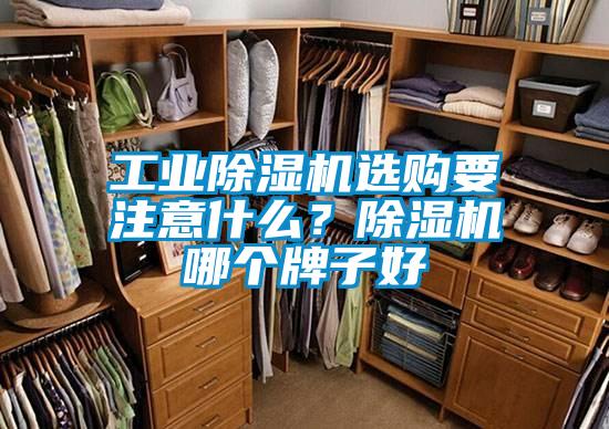 工業(yè)除濕機(jī)選購要注意什么？除濕機(jī)哪個(gè)牌子好