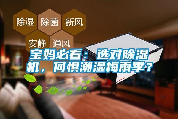 寶媽必看:選對除濕機,何懼潮濕梅雨季?