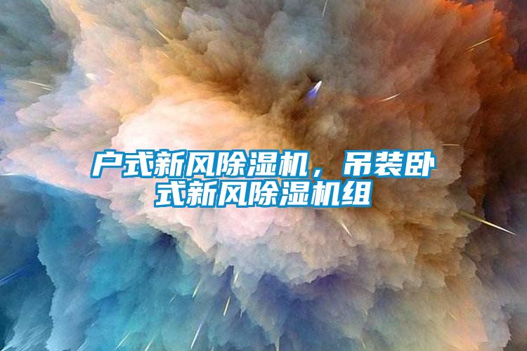 戶式新風除濕機,吊裝臥式新風除濕機組