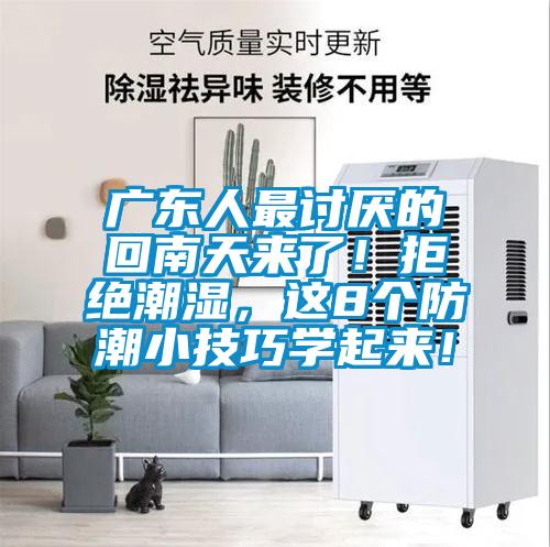 廣東人最討厭的回南天來了！拒絕潮濕，這8個(gè)防潮小技巧學(xué)起來！