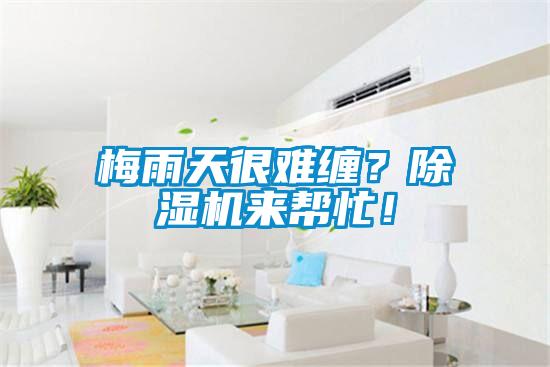 梅雨天很難纏？除濕機來幫忙！