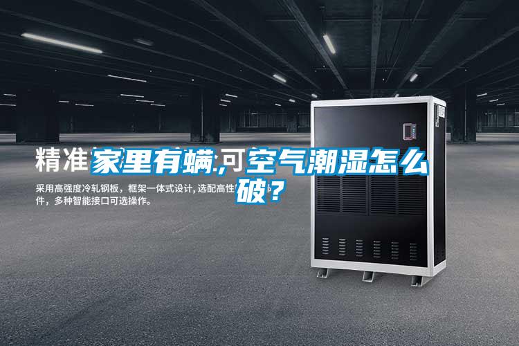 家里有螨，空氣潮濕怎么破？