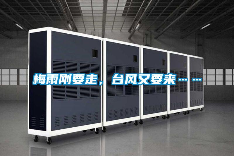 梅雨剛要走,臺風又要來……