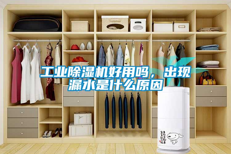 工業除濕機好用嗎，出現漏水是什么原因