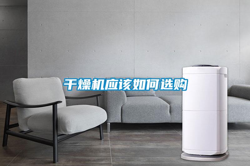 年年除濕年年濕，如何快速除濕？