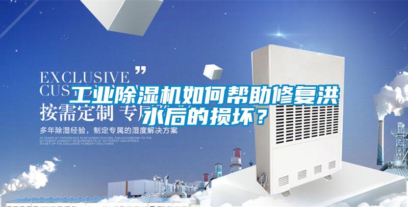 工業除濕機如何幫助修復洪水后的損壞?