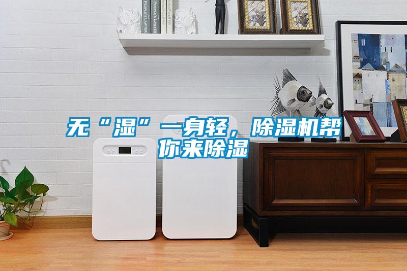 無“濕”一身輕，除濕機幫你來除濕