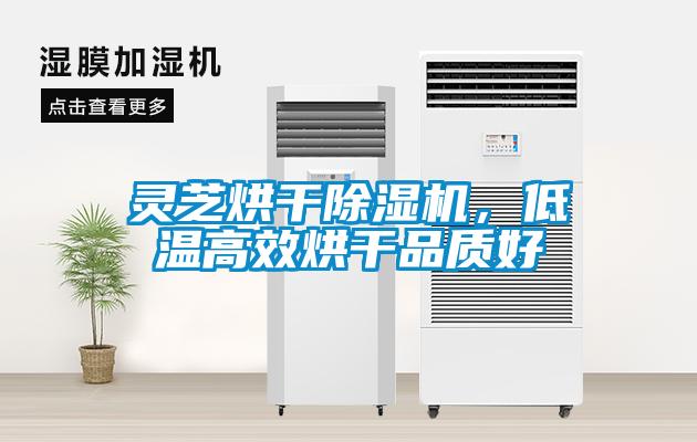 靈芝烘干除濕機,低溫高效烘干品質好
