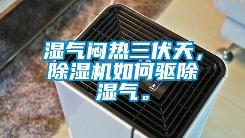 濕氣悶熱三伏天，除濕機如何驅除濕氣。