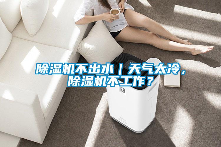 除濕機不出水｜天氣太冷，除濕機不工作？