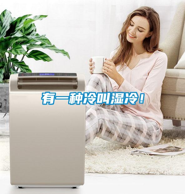 有一種冷叫濕冷!