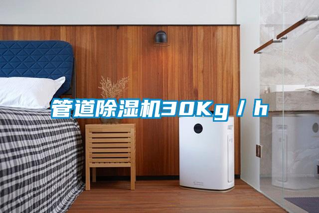 管道除濕機30Kg/h