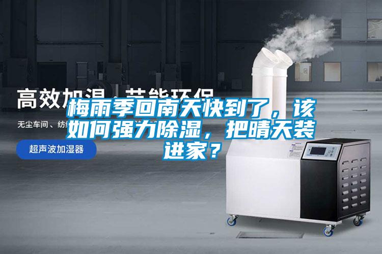 梅雨季回南天快到了，該如何強力除濕，把晴天裝進家？