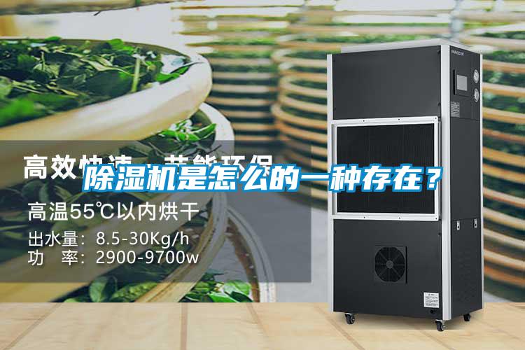 除濕機(jī)是怎么的一種存在?